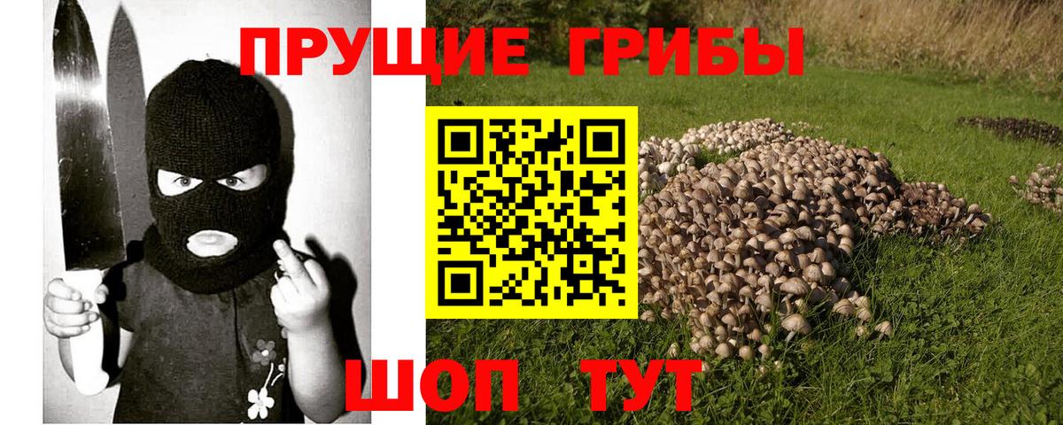 Галлюциногенные грибы мухоморы  Вход с VPN  Сертолово  Галлюциногенные грибы мухоморы 