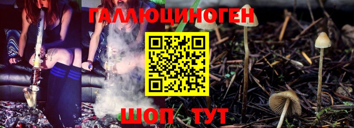 Галлюциногенные грибы прущие грибы Сертолово